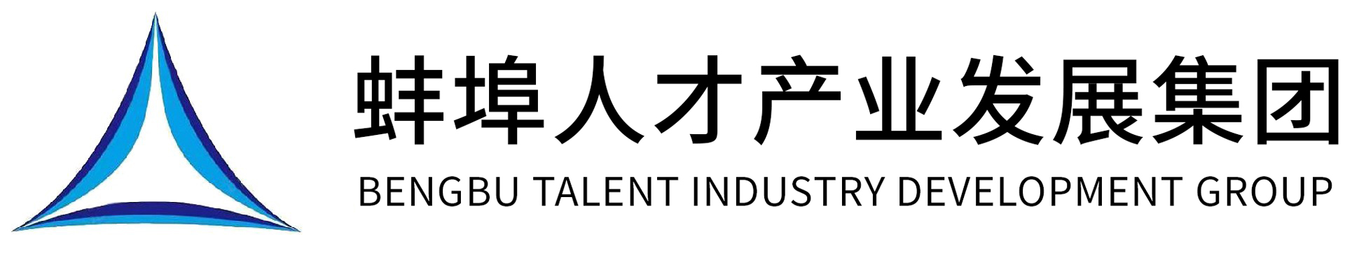 蚌埠市人才產業發展集團有限公司
